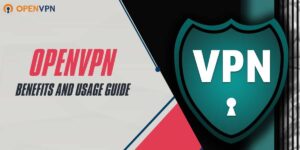 OpenVPN in 2024 Benefits and Usage Guide